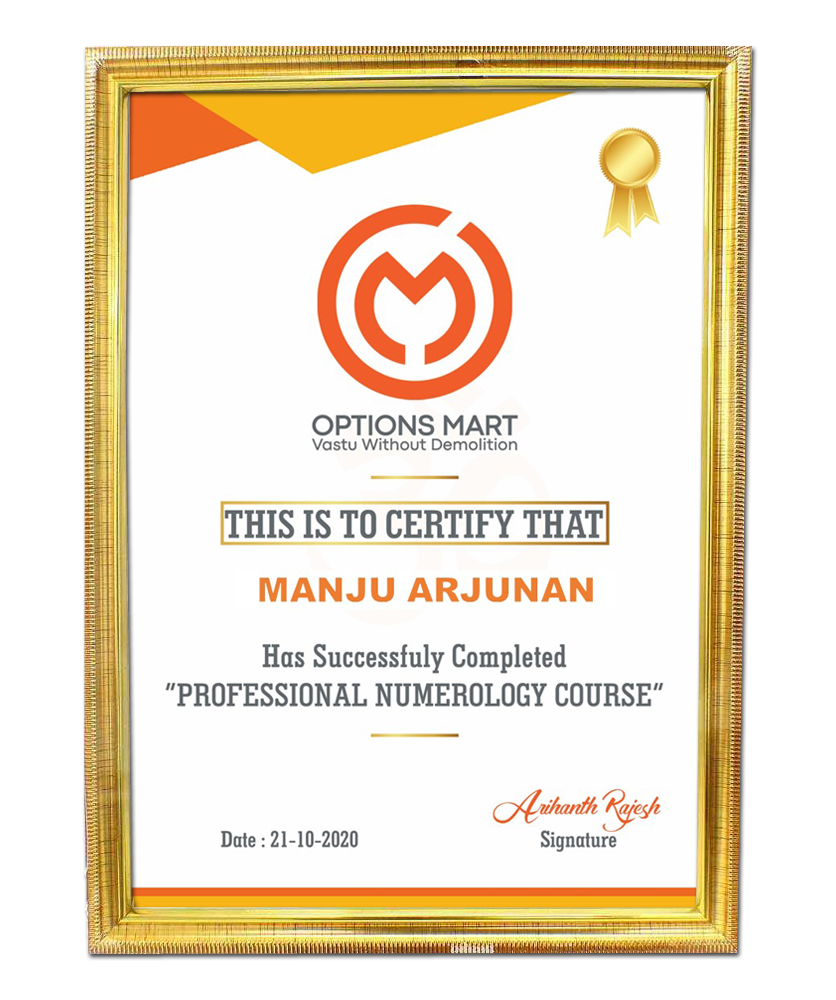 Professional Numerology Course